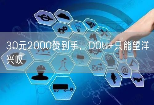 30元2000赞到手，DOU+只能望洋兴叹