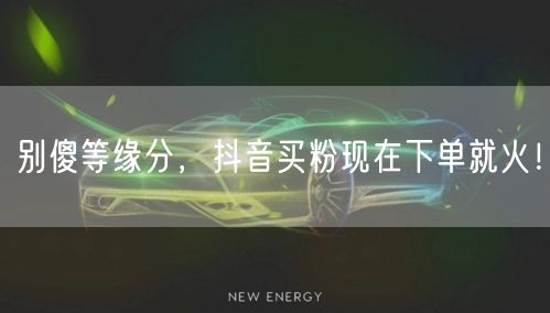 别傻等缘分，抖音买粉现在下单就火！