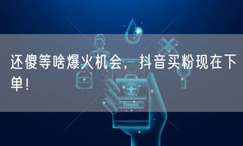 还傻等啥爆火机会，抖音买粉现在下单！