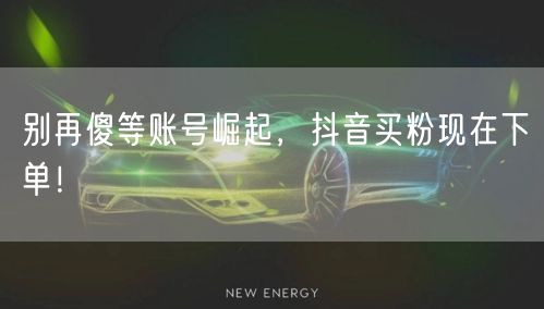 别再傻等账号崛起，抖音买粉现在下单！