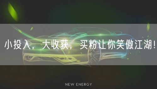 小投入，大收获，买粉让你笑傲江湖！