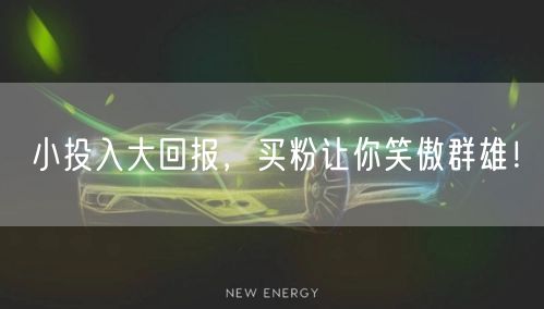 小投入大回报，买粉让你笑傲群雄！