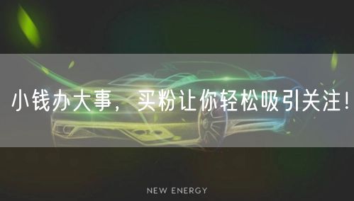 小钱办大事，买粉让你轻松吸引关注！