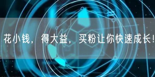 花小钱，得大益，买粉让你快速成长！