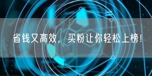 省钱又高效，买粉让你轻松上榜！