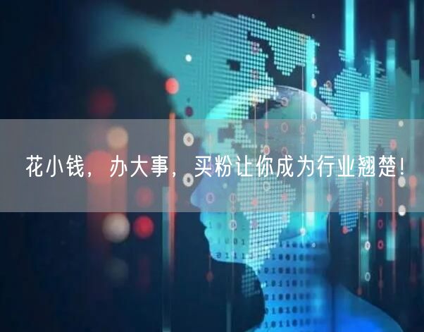 花小钱，办大事，买粉让你成为行业翘楚！