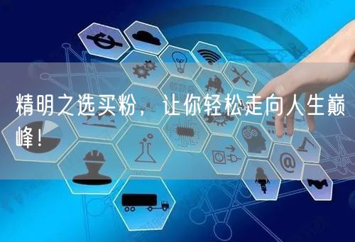 精明之选买粉，让你轻松走向人生巅峰！