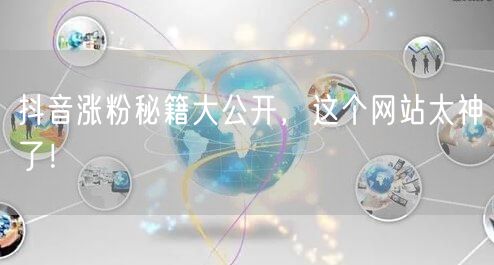抖音涨粉秘籍大公开，这个网站太神了！