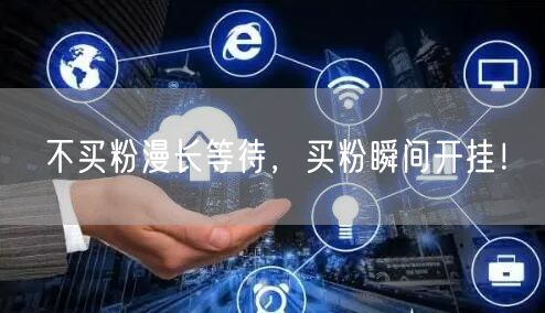 不买粉漫长等待，买粉瞬间开挂！