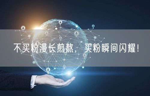 不买粉漫长煎熬，买粉瞬间闪耀！