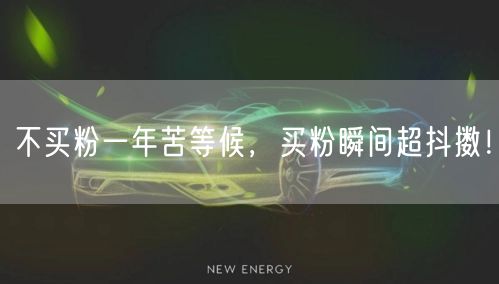 不买粉一年苦等候，买粉瞬间超抖擞！