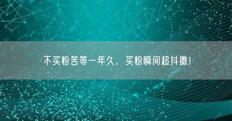不买粉苦等一年久，买粉瞬间超抖擞！