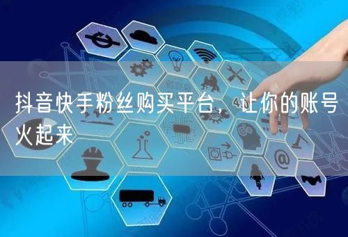 抖音快手粉丝购买平台，让你的账号火起来