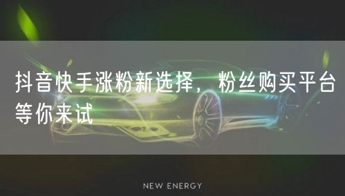 抖音快手涨粉新选择，粉丝购买平台等你来试