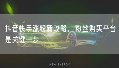 抖音快手涨粉新攻略，粉丝购买平台是关键一步