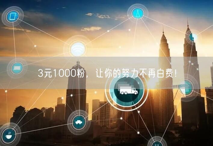3元1000粉，让你的努力不再白费！