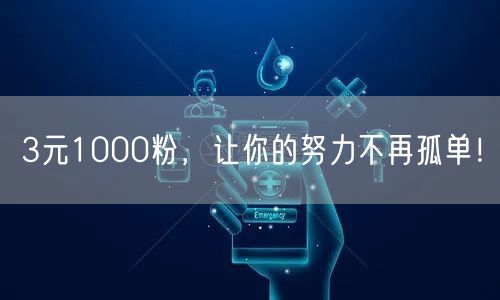 3元1000粉，让你的努力不再孤单！