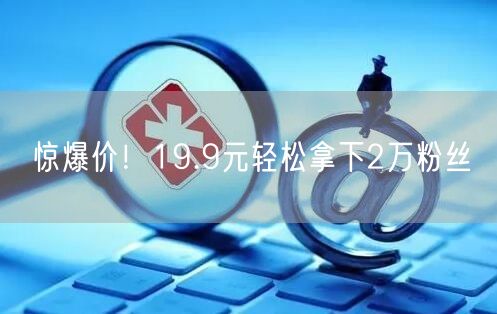 惊爆价！19.9元轻松拿下2万粉丝