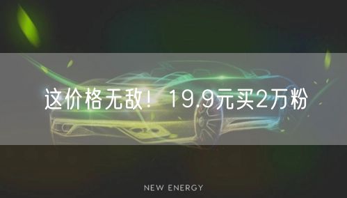 这价格无敌！19.9元买2万粉