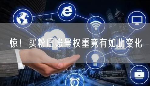 惊！买粉后账号权重竟有如此变化