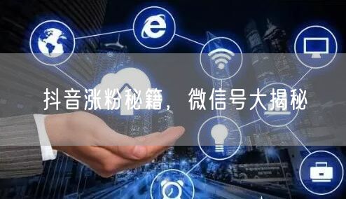 抖音涨粉秘籍，微信号大揭秘