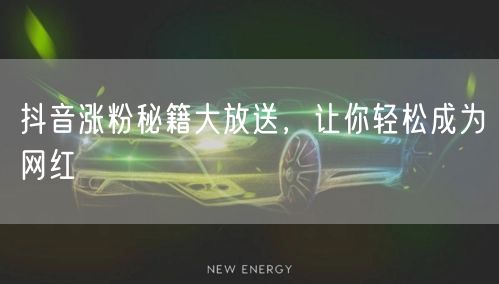 抖音涨粉秘籍大放送，让你轻松成为网红