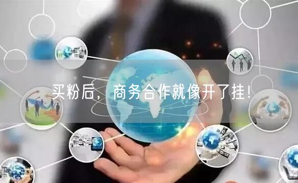 买粉后,商务合作就像开了挂!