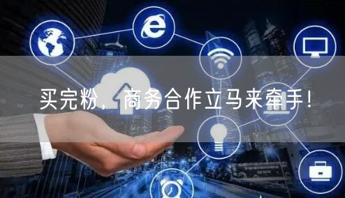 买完粉，商务合作立马来牵手！