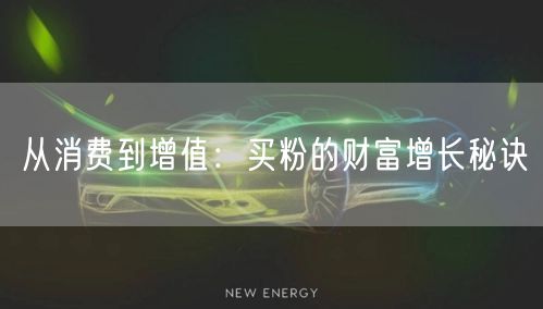 从消费到增值：买粉的财富增长秘诀