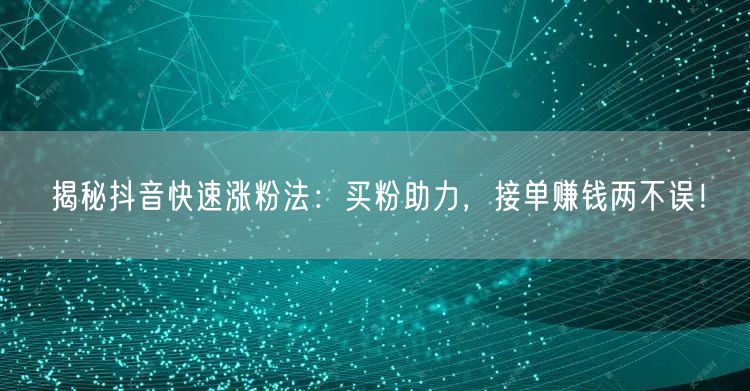 揭秘抖音快速涨粉法：买粉助力，接单赚钱两不误！
