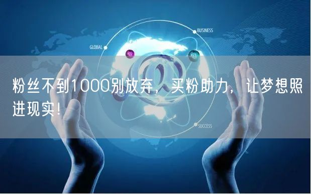 粉丝不到1000别放弃，买粉助力，让梦想照进现实！