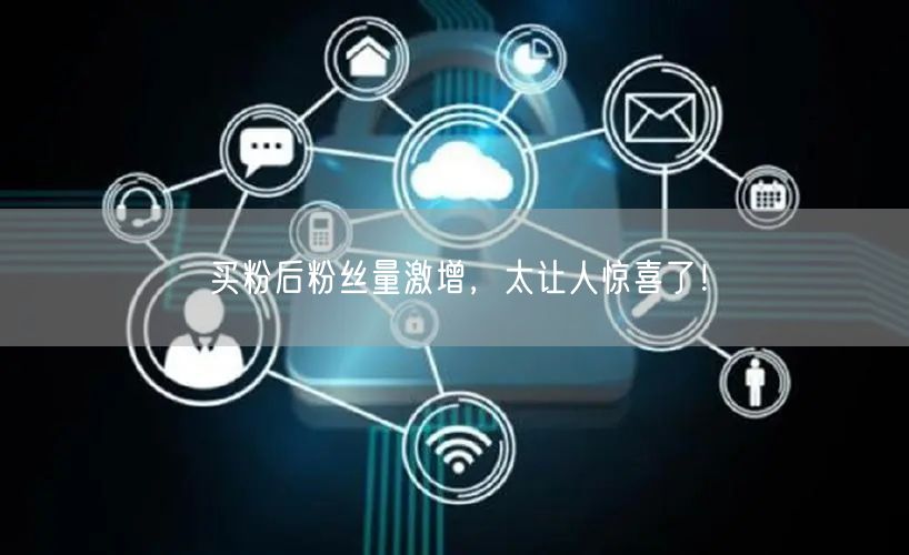 买粉后粉丝量激增，太让人惊喜了！