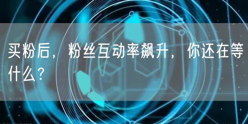 买粉后，粉丝互动率飙升，你还在等什么？