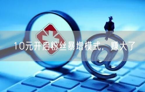 10元开启粉丝暴增模式，赚大了