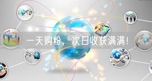 一天购粉，次日收获满满！