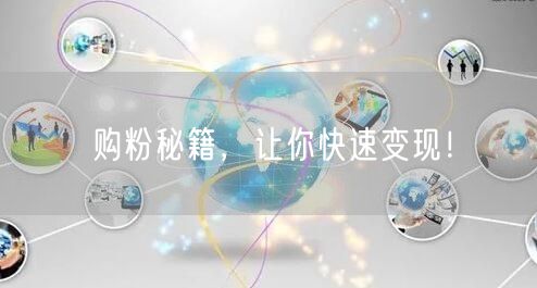 购粉秘籍，让你快速变现！
