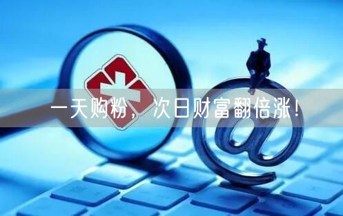 一天购粉，次日财富翻倍涨！