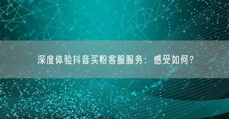 深度体验抖音买粉客服服务：感受如何？