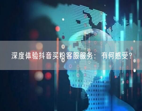 深度体验抖音买粉客服服务：有何感受？