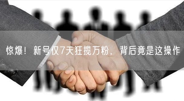 惊爆！新号仅7天狂揽万粉，背后竟是这操作
