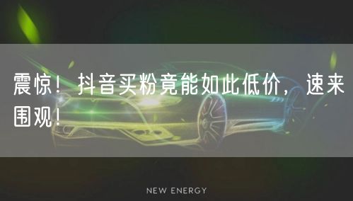 震惊！抖音买粉竟能如此低价，速来围观！