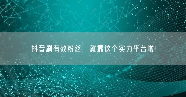 抖音刷有效粉丝，就靠这个实力平台啦！