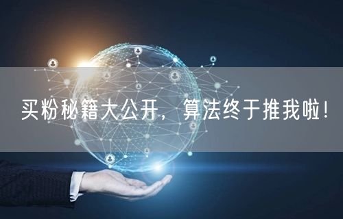 买粉秘籍大公开，算法终于推我啦！