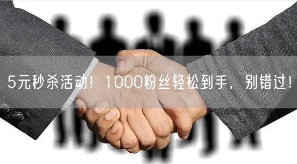 5元秒杀活动！1000粉丝轻松到手，别错过！
