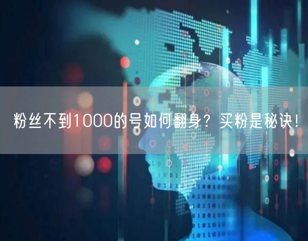 粉丝不到1000的号如何翻身？买粉是秘诀！