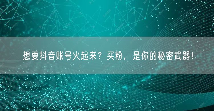 想要抖音账号火起来？买粉，是你的秘密武器！