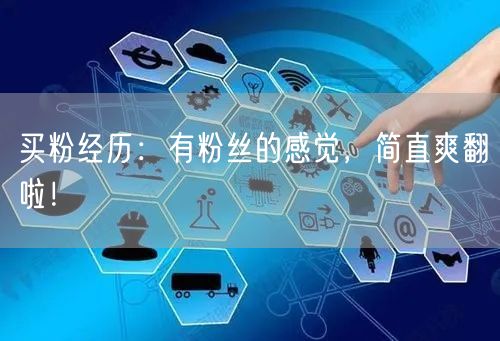 买粉经历：有粉丝的感觉，简直爽翻啦！