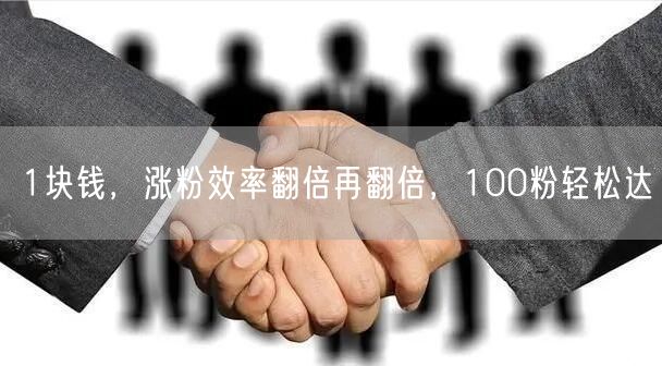 1块钱，涨粉效率翻倍再翻倍，100粉轻松达