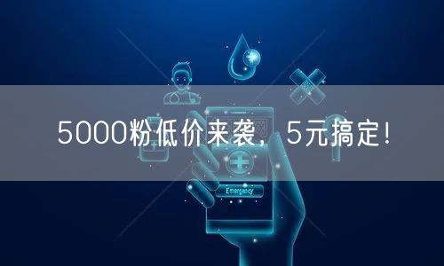 5000粉低价来袭,5元搞定!