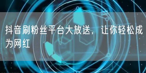 抖音刷粉丝平台大放送，让你轻松成为网红